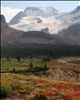 The Columbia Icefield from near Wilcox Pass in Jasper National Park